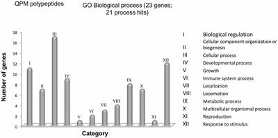 Potential Effects of MSC-Derived Exosomes in Neuroplasticity in Alzheimer’s Disease